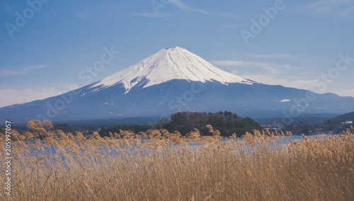 Vue panoramique sur le Mont Fuji depuis un lac