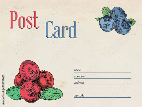 berries garden postcard. Template design of envelope and illustration of cranberry and blueberry