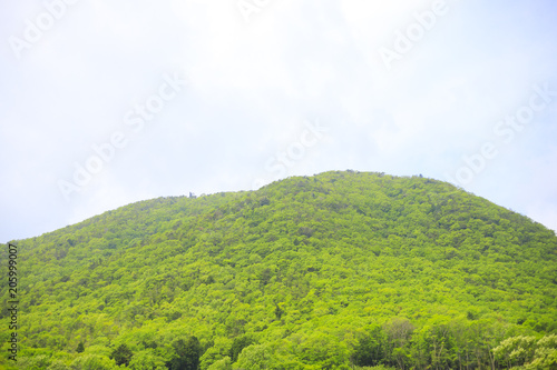 篠山市の風景