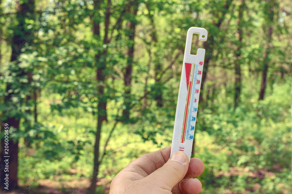 Thermometer in man hand on nature background