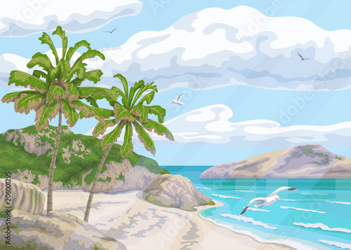 Tropical Background with Sea Coast and Palm Trees