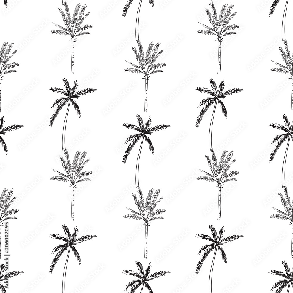 Hand-drawn seamless pattern with palm trees, isolated on white background Hand-drawn seamless pattern with palm trees, isolated on white background