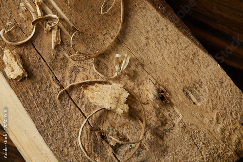 Obraz na plátne closeup view of scobs on wooden plank on brown surface