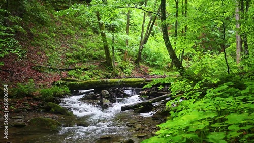 Small creek and waterfall in the green summer forest mountains photo