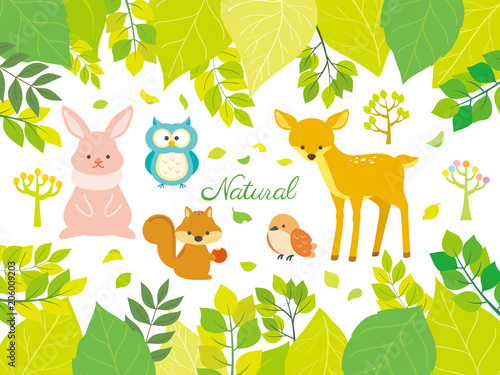 Nature and animal illustrations