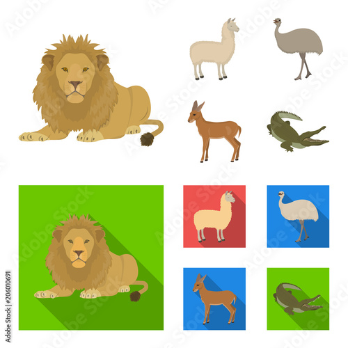 lama, ostrich emu, young antelope, animal crocodile. Wild animal, bird, reptile set collection icons in cartoon,flat style vector symbol stock illustration web.
