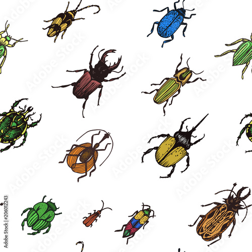 Sketch illustration of a vector bugs. Ornament with bugs. © artmary