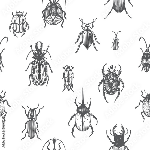 Sketch illustration of a vector bugs. Ornament with bugs. © artmary