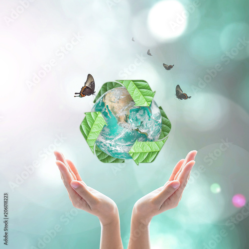 Waste recycle management, eco friendly concept: Elements of this image furnished by NASA