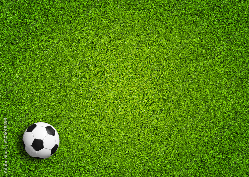 Fußball auf Rasen StockFoto Adobe Stock