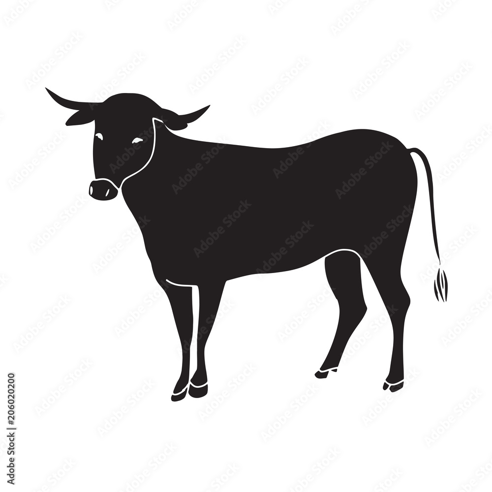 black bull vector illustration