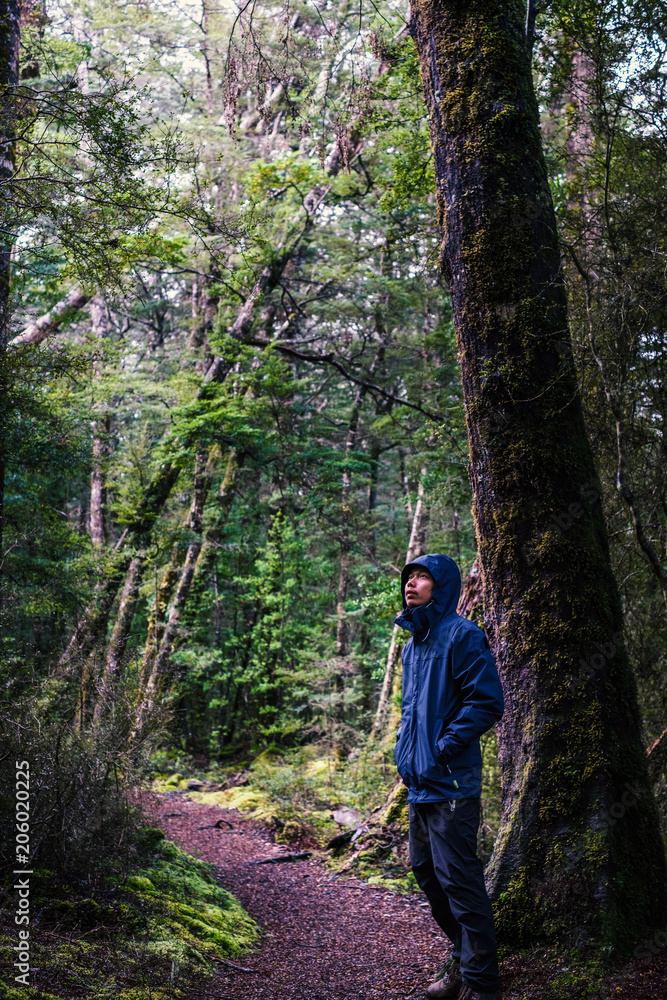 A backpacker man with trekking gears enjoy with a nature in the green fresh rainforest. A backpacker man with trekking gears enjoy with a nature in the green fresh rainforest.