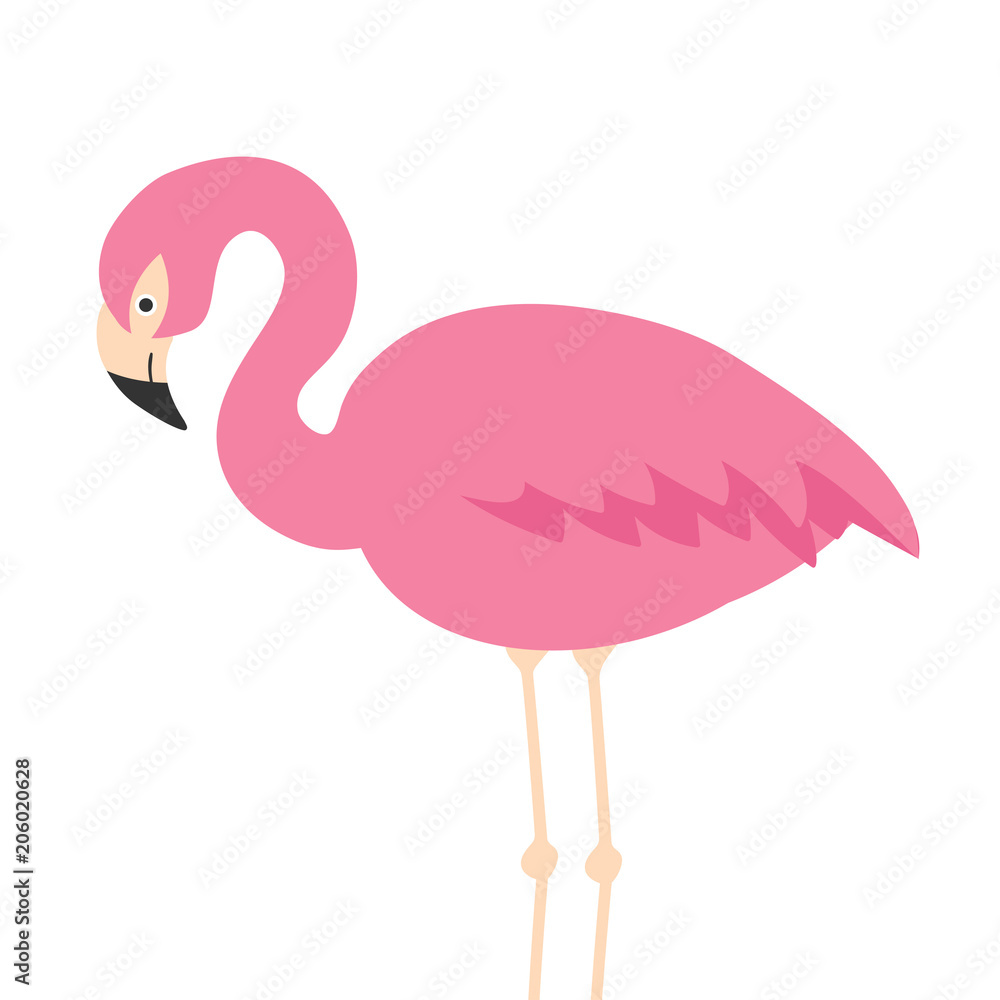 Fototapeta premium illustration of cute cartoon flamingo on white background