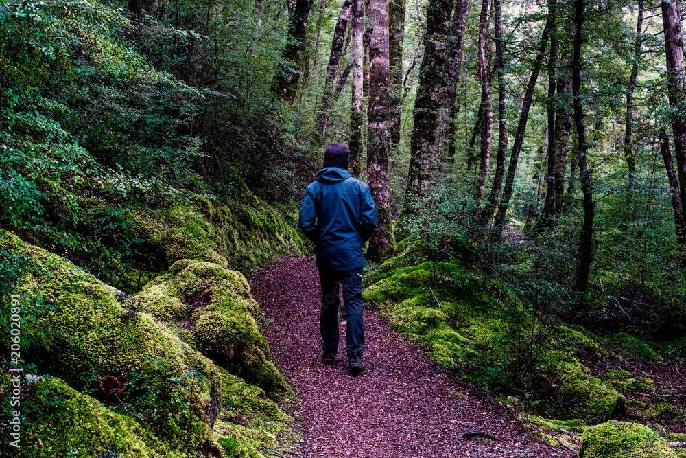A backpacker man with trekking gears walking on the path in the green fresh rainforest. A backpacker man with trekking gears walking on the path in the green fresh rainforest.