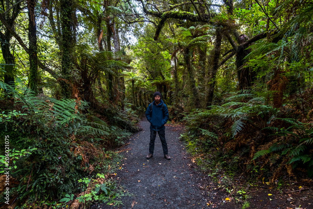 Obraz premium A young Asian backpacker man with trekking gears standing on the path in the green fresh rainforest.