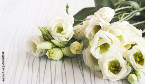 Bouquet of eustoma flowers