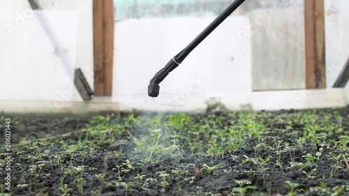 farmer spraying pesticide in farm closeup