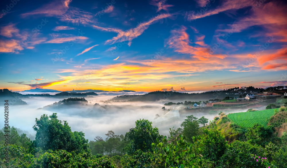 Sunrise over hillside as the sun rising from horizon reflect light bright yellow sky. Below cloudy mist covered valleys flooded pine forests create impressive beauty highlands in morning.