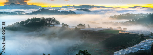 Sunrise over hillside as the sun rising from horizon reflect light bright yellow sky. Below cloudy mist covered valleys flooded pine forests create impressive beauty highlands in morning.