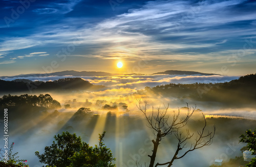 Sunrise over hillside a pine forest with long sun rays pass through valley with pines yellow sunny mornings this place more lively  warm and tranquil welcome to beautiful new day