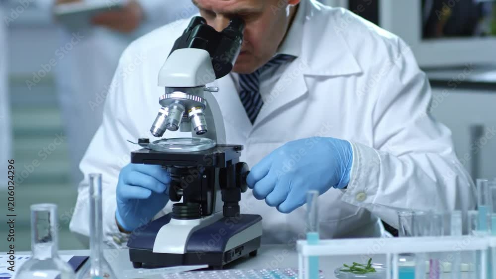 Middle-aged man in lab coat and rubber gloves using microscope to study samples when working in laboratory, medium shot Middle-aged man in lab coat and rubber gloves using microscope to study samples when working in laboratory, medium shot