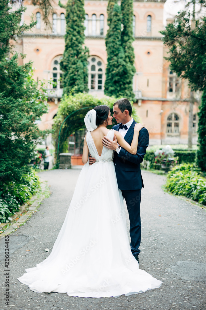 walk the groom and the bride in the park outdoors walk the groom and the bride in the park outdoors