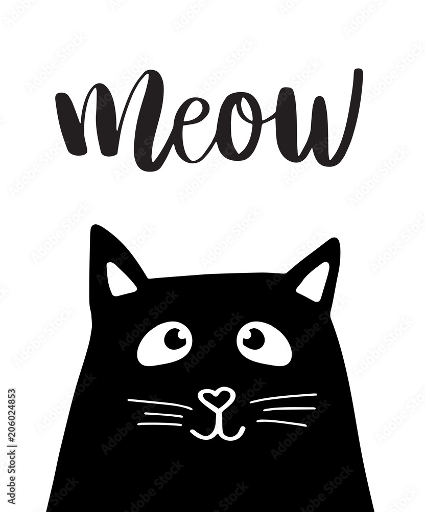 Funny Cat Pics With Words