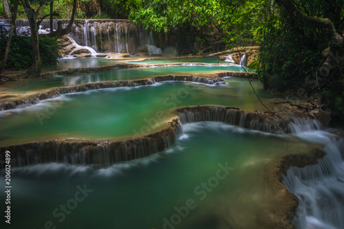 Fototapeta Naklejka Na Ścianę i Meble -  Kuang Si waterfall in Luang Prabang Laos