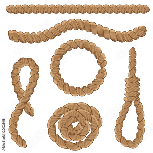 Abstract rope elements. Vector illustration.