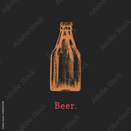Vector illustration of beer bottle. Hand drawn sketch of alcoholic beverage for cafe, bar label,restaurant menu.