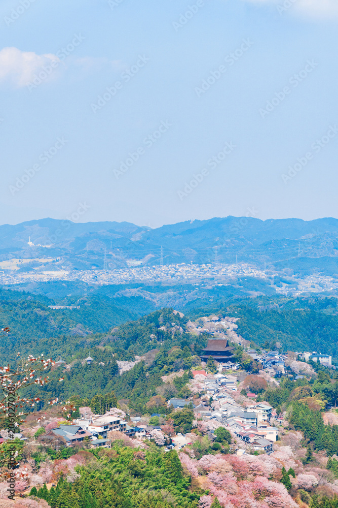 奈良の春の風景　満開の桜　吉野　奈良　日本