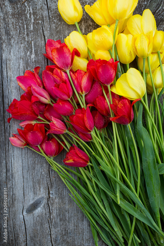 beautiful fresh tulips on rustic wooden surface