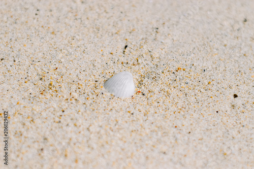 sand texture and background