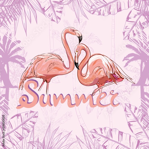 Pink flamingo vector illustration