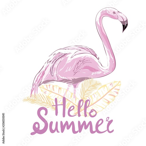 Pink flamingo vector illustration