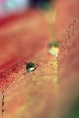 Macro