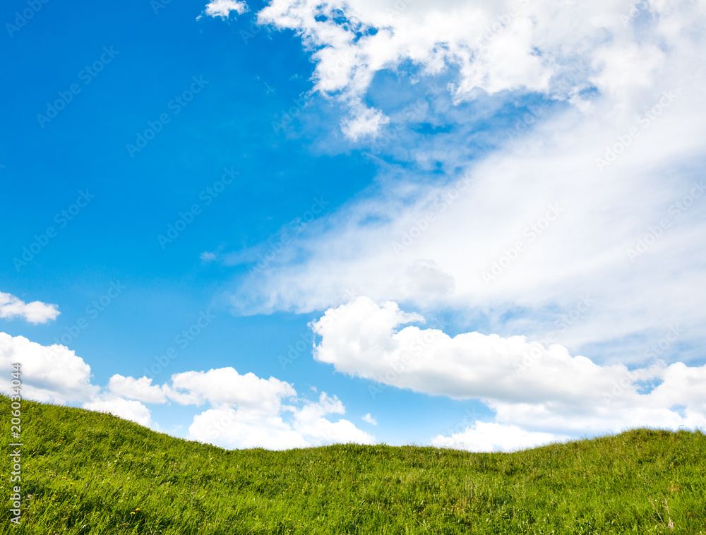 Green field with blue sky