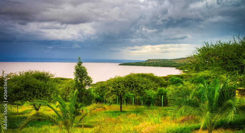 Fototapeta premium Landscape of Langano lake coastline, Oromia, Ethiopia