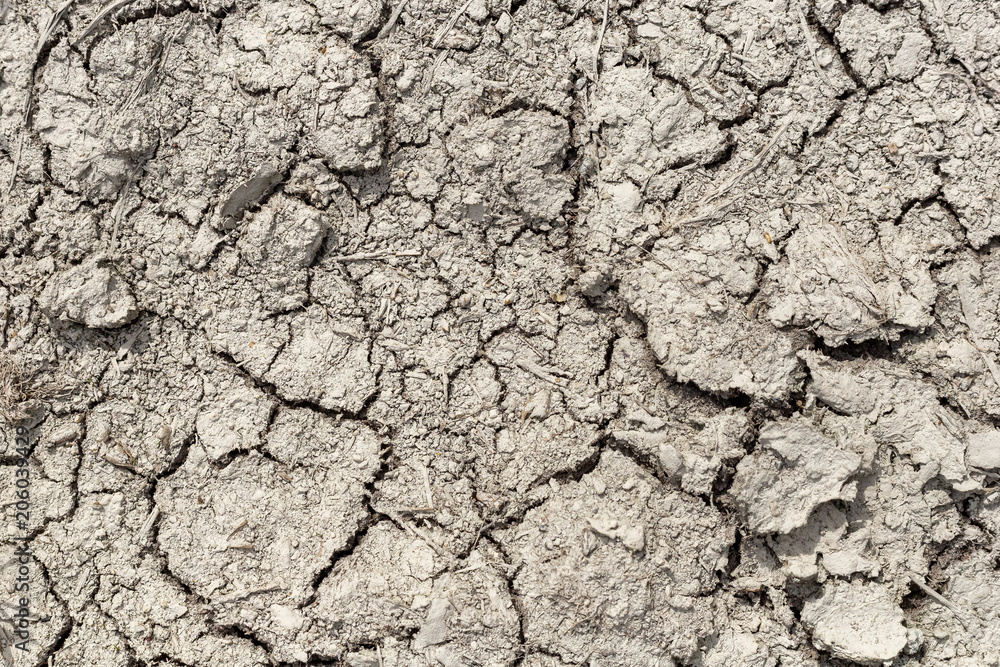 Fototapeta premium Dry cracked ground for use as a background