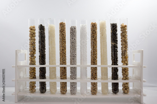 Test tubes with cereal seeds