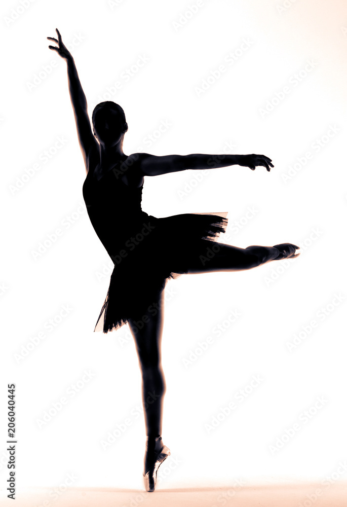 Ballerina Tanz dance classic Ballet