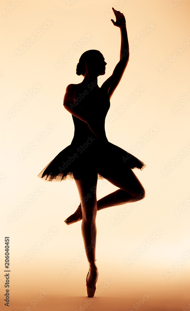 Ballerina Tanz dance classic Ballet