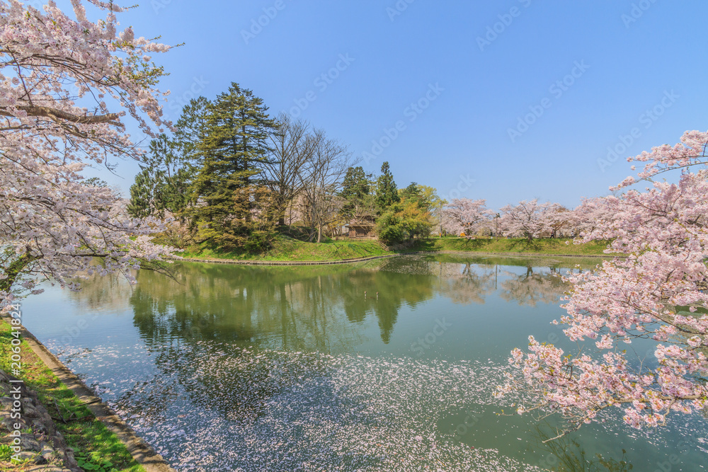 春の新庄城跡の風景