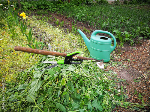 Work in the garden and vegetable garden.
