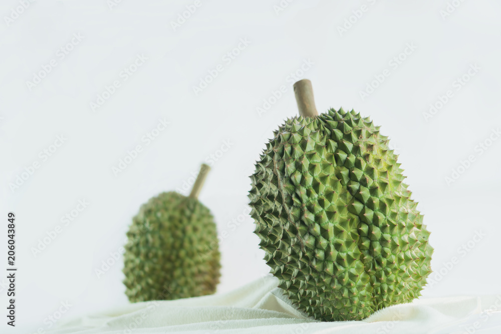Illustration of durian fruit Illustration of durian fruit