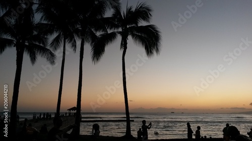 Hawaii  Waikiki Beach