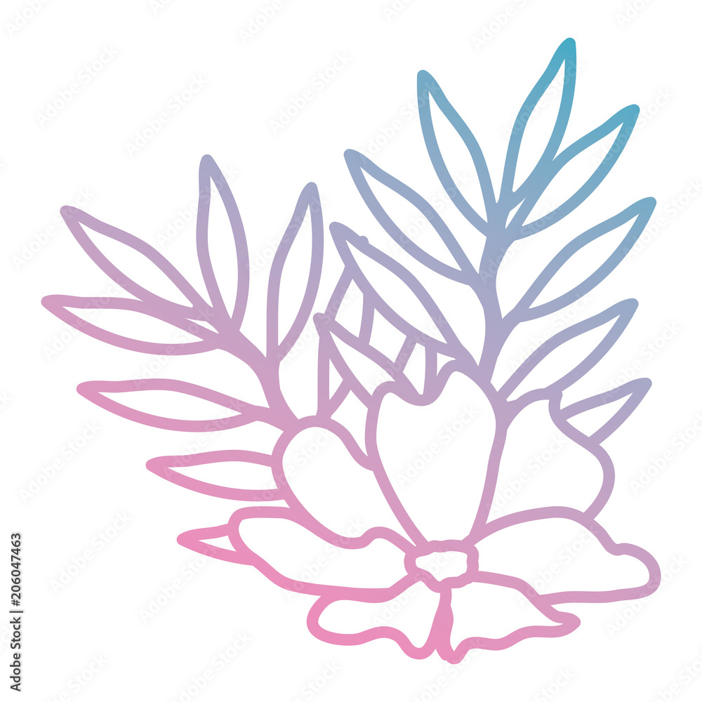 flower and leafs decorative icon vector illustration design flower and leafs decorative icon vector illustration design