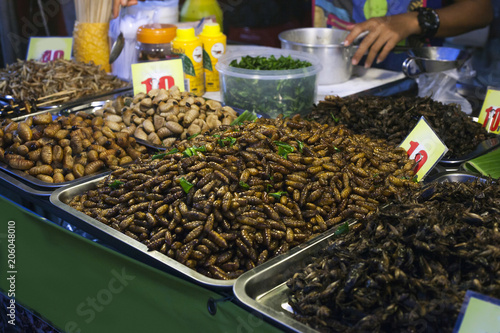 Thai food fried worms and insects, market © dmf87
