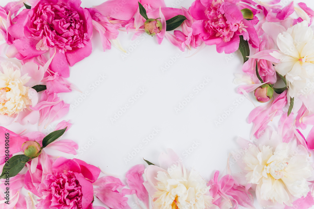 Floral frame wreath made of pink and white peonies flower buds. Flat lay, top view.