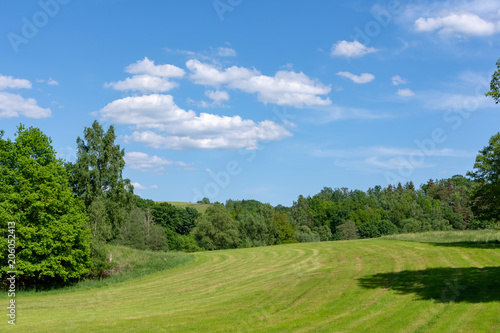 Fresh cut green field in spring ringed by trees © funkenzauber